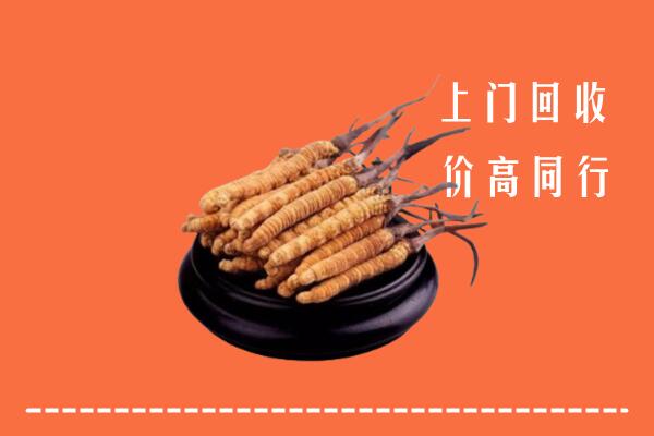 高价求购：临汾侯马回收散虫草