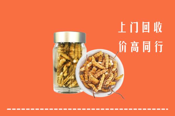 临汾侯马回收冬虫夏草
